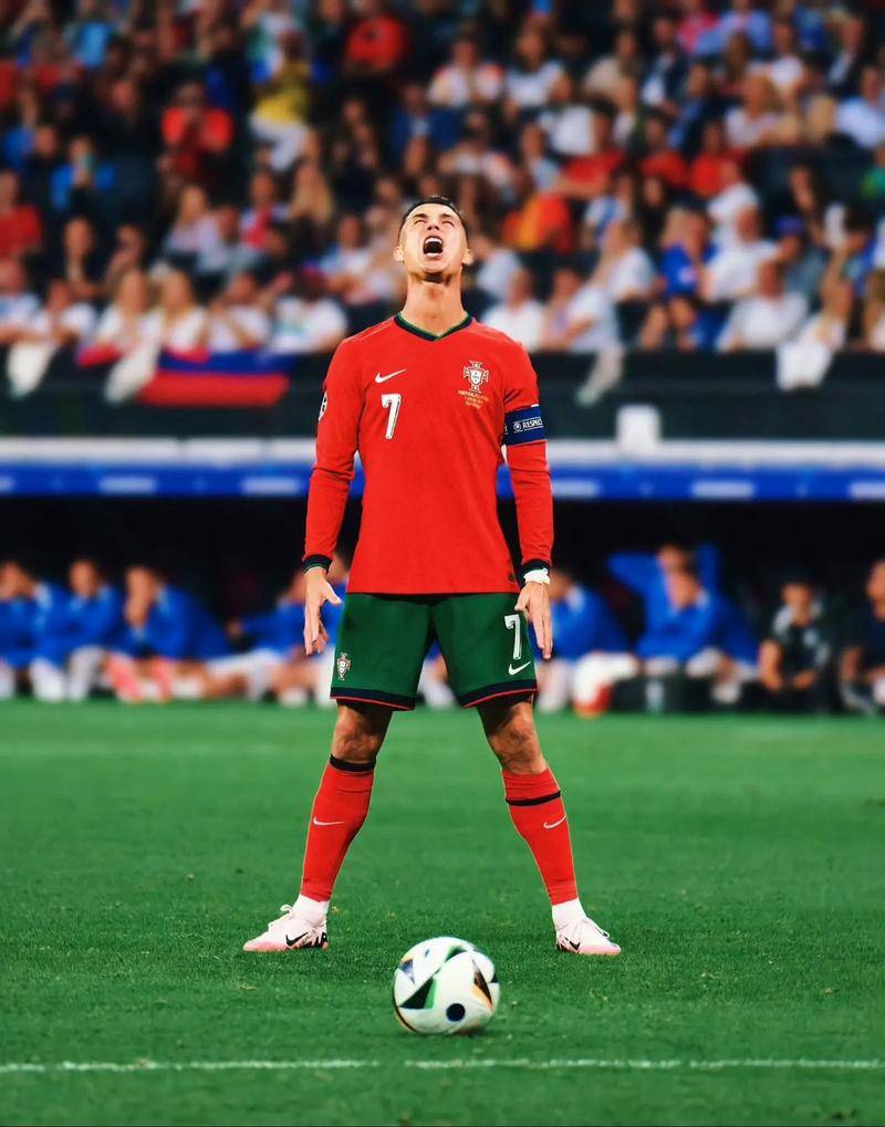 仅展现了两 仅展现了两